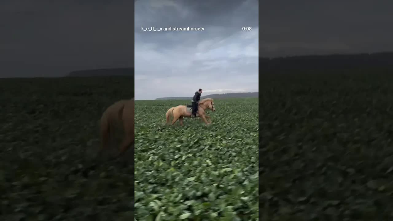 Running like a lion 🦁🫰🏻❤️ 🔥