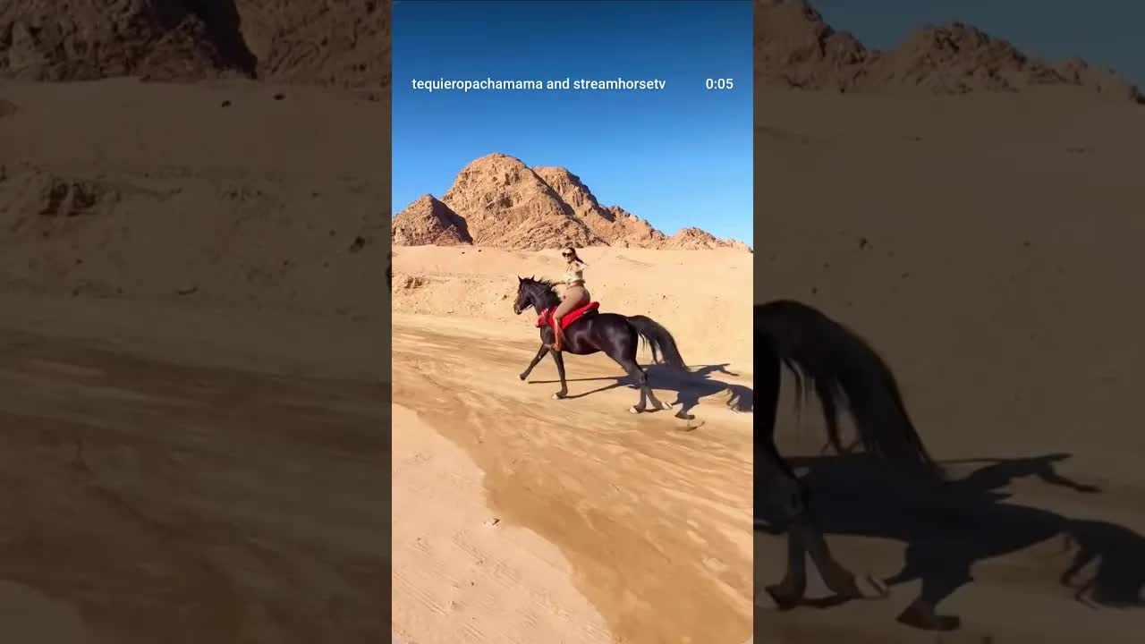 Me gustas tu 🖤⚡️🐴