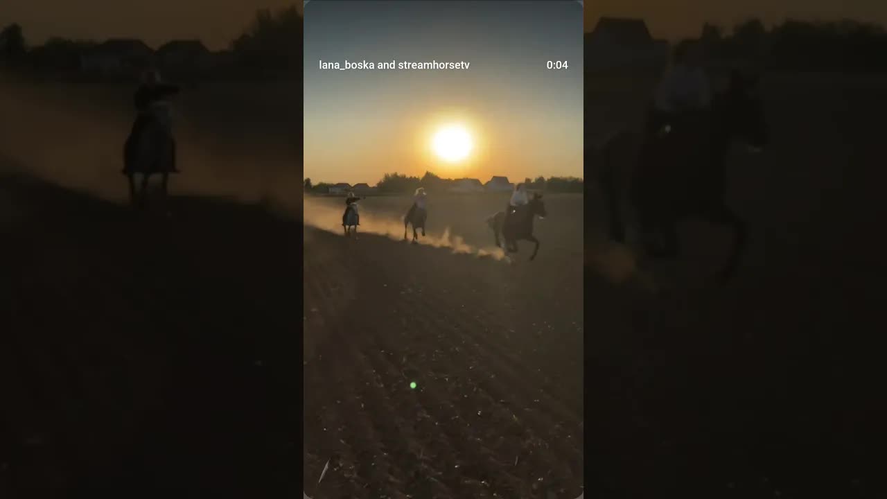 diva is the female version of a hustler 🏇