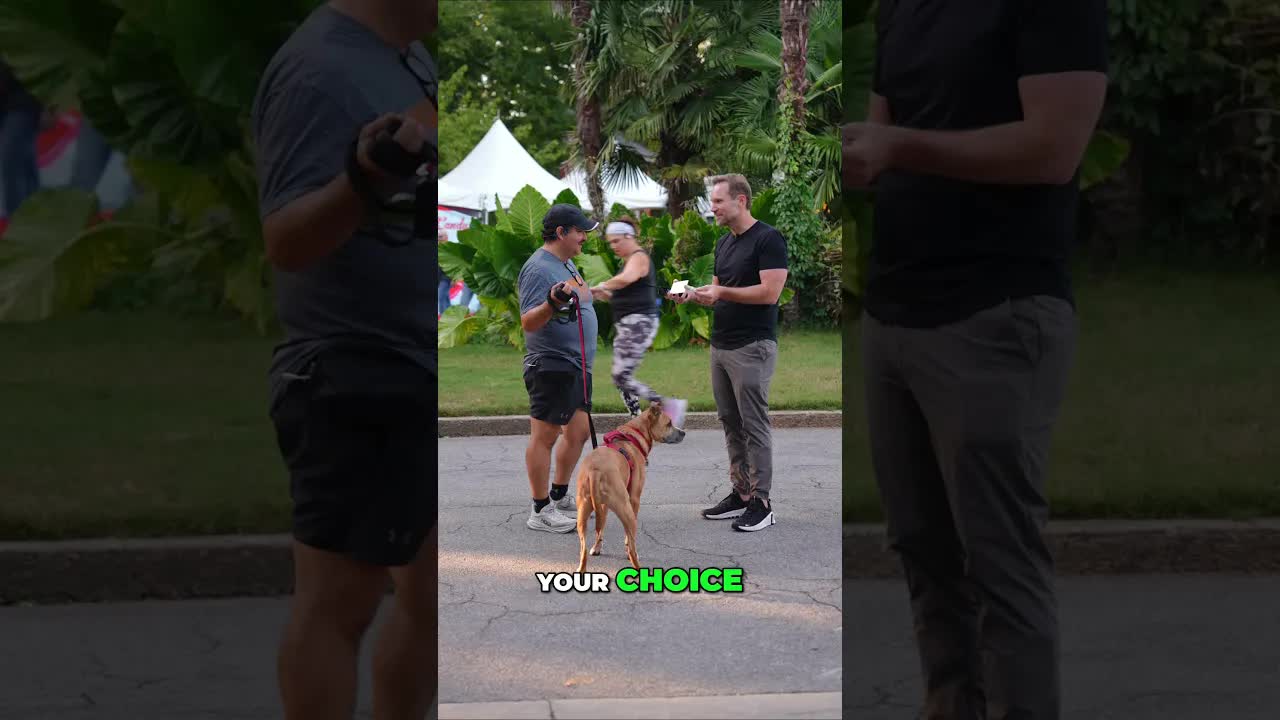 Will they take the cards, the cash... or neither??! 😳