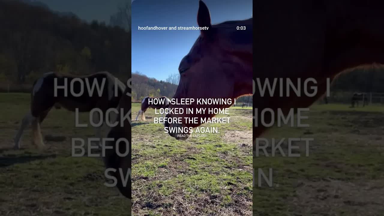 New York State market update! More homes are finally popping up on the market. 😌🏡