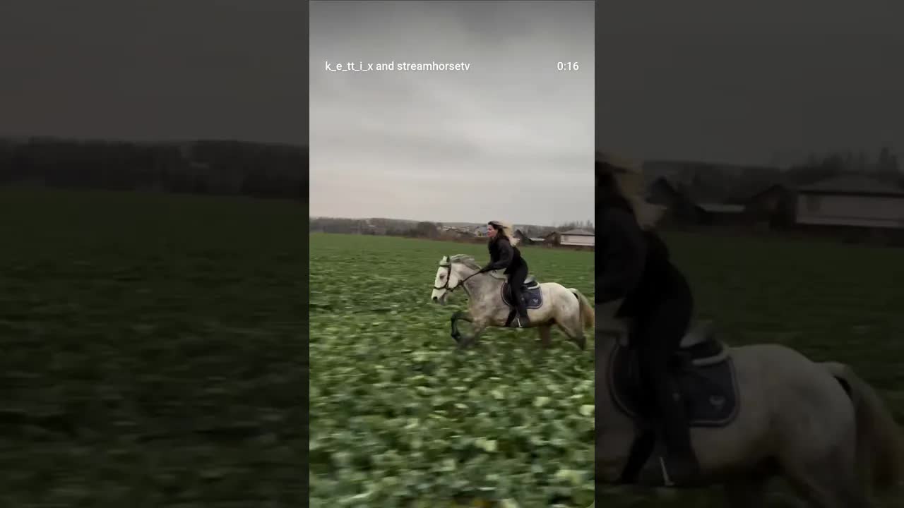 Running, looking for my beast with a glance 😈🐍