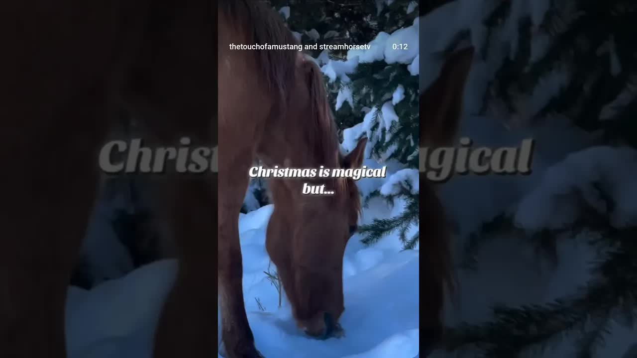 They hold a sacred magic. Where you will find parts of yourself you forgot existed.