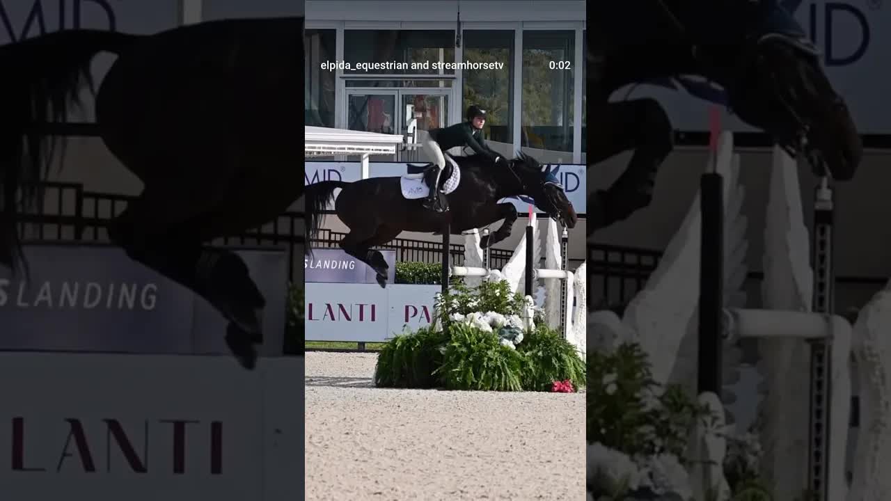 When you leave a stride out but your mare is scopey as hell and tries her heart out for you 💙🐎