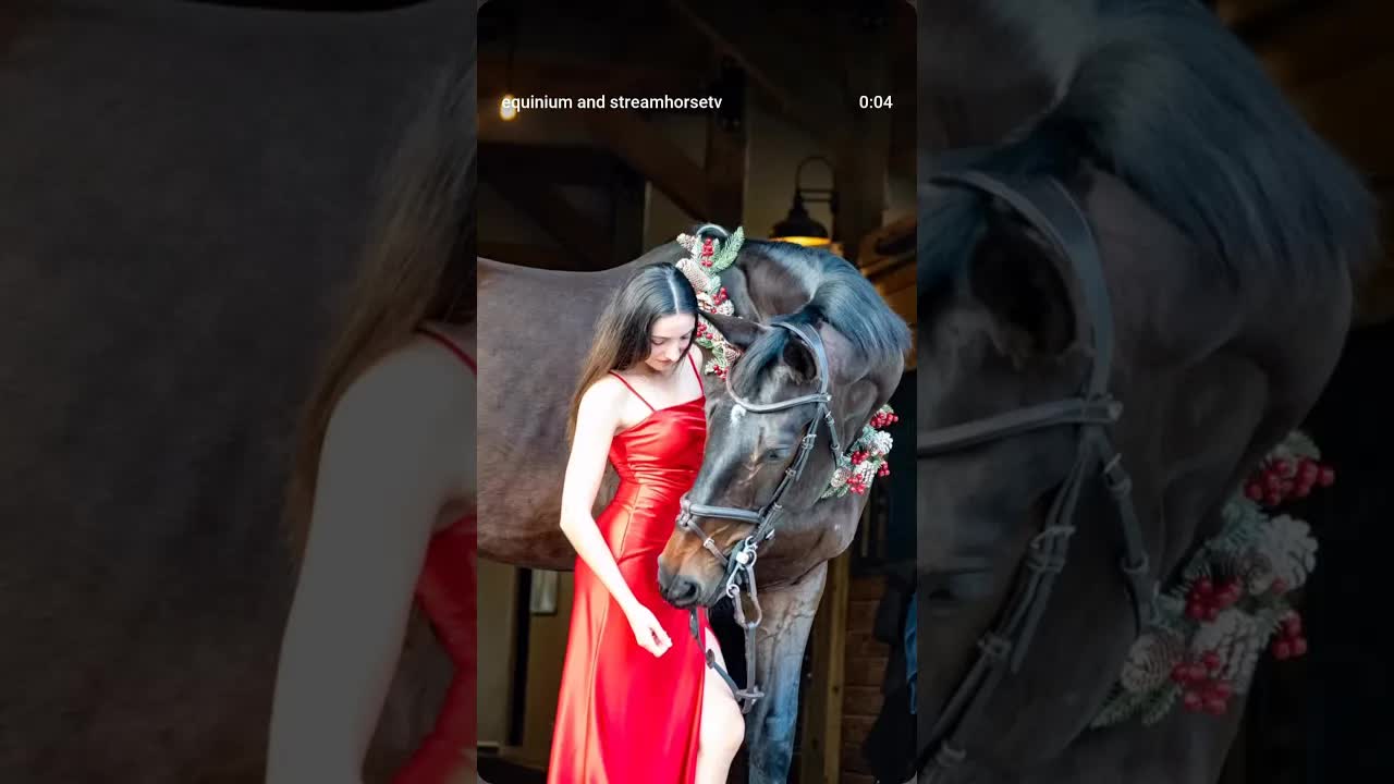 🎄 🐎 ✅ These two get more photogenic every time 🤩