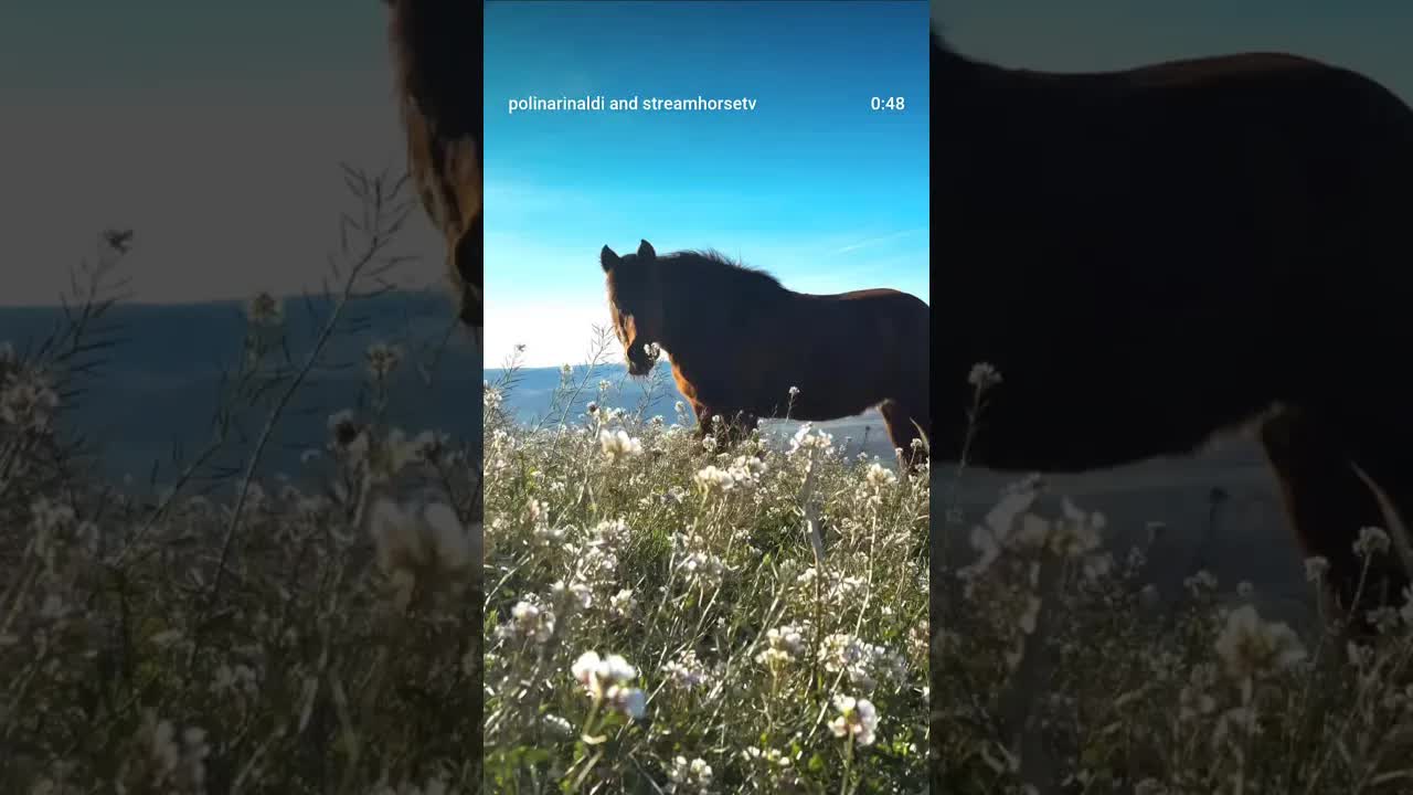 There are places and there are places that remain in your heart. ❤️