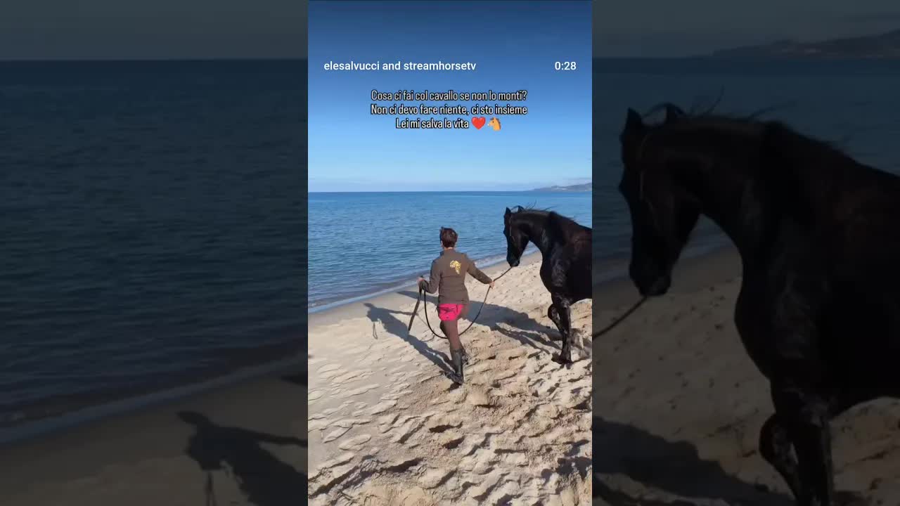 Cosa ci fai col cavallo se non lo monti? ❤️🐴