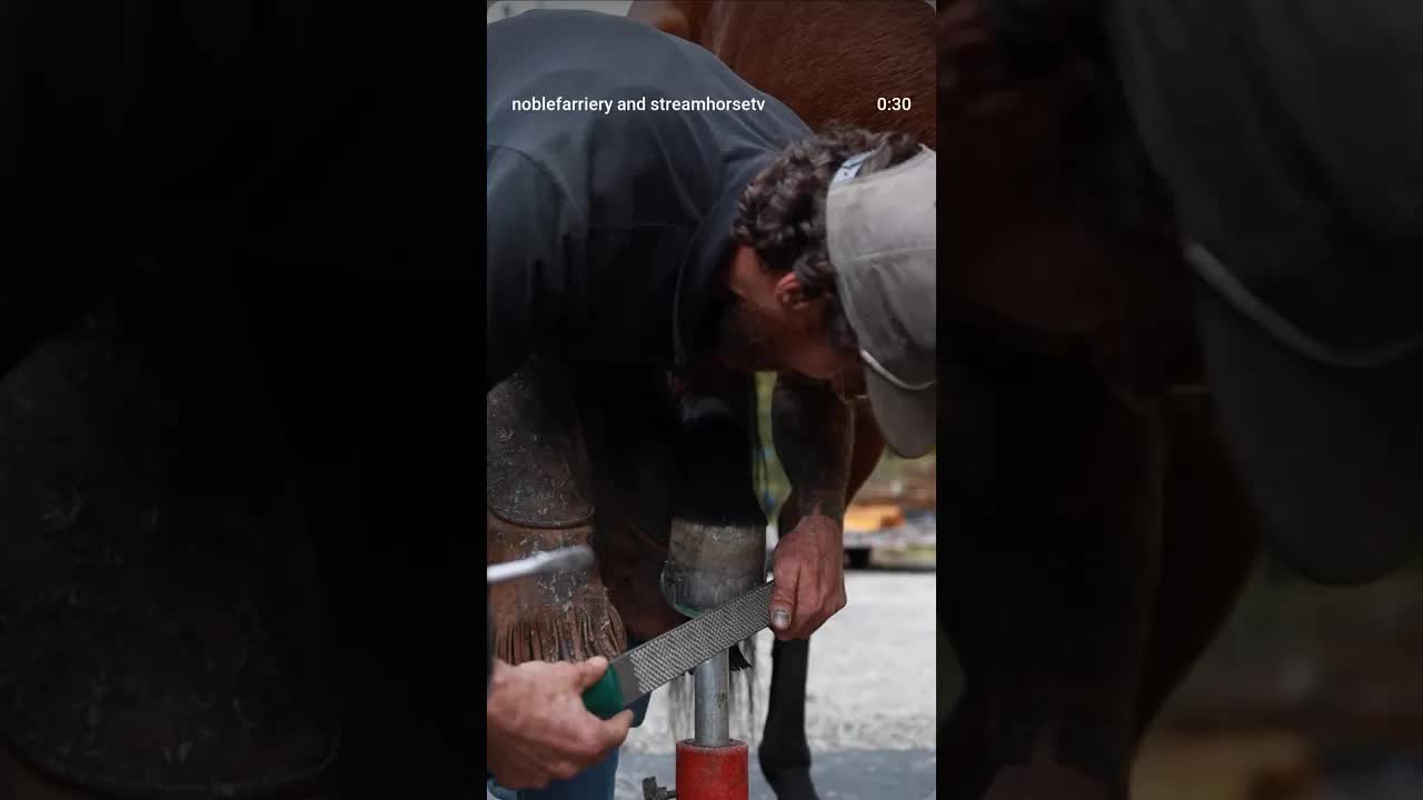 Bellota in action. Sharp, consistent, and the go-to rasp for our whole crew.