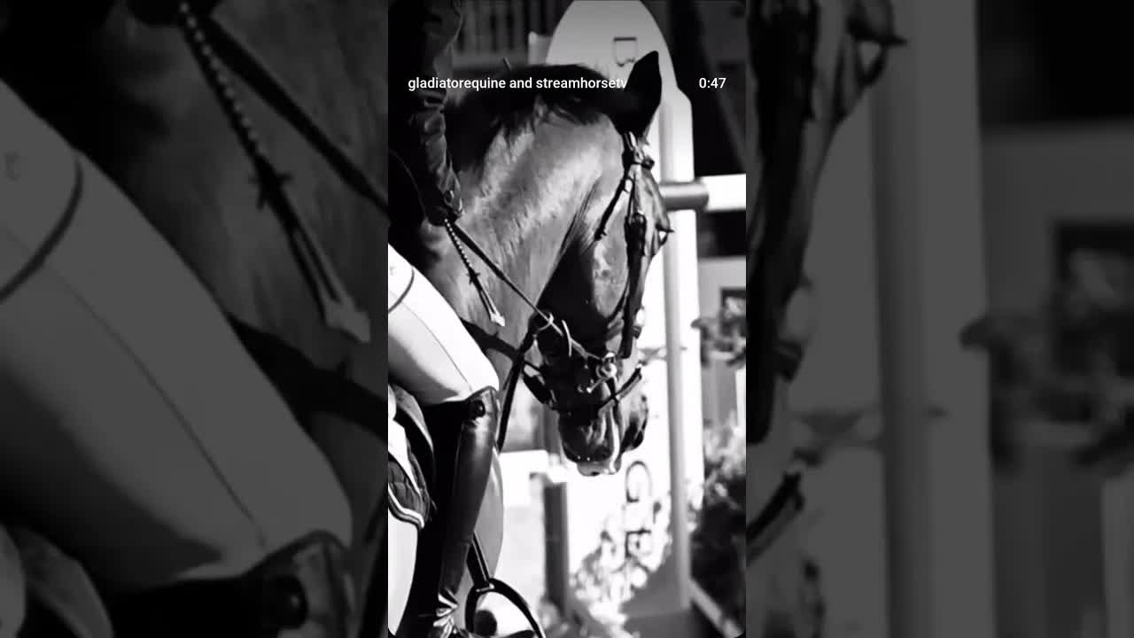 A mission of healing and deep commitment to the horse are etched into every fiber. 🐴❤️‍🔥