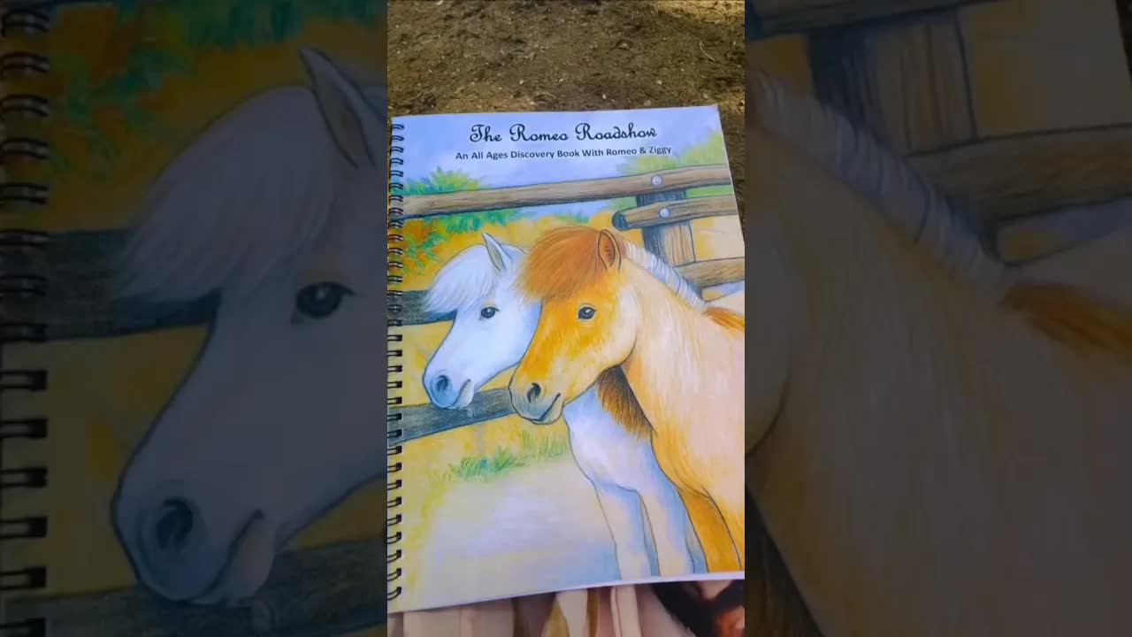 Romeo & Ziggy will be extremely happy to see you Saturday at the Calabasas Saddlery ‼️💕🦄💕