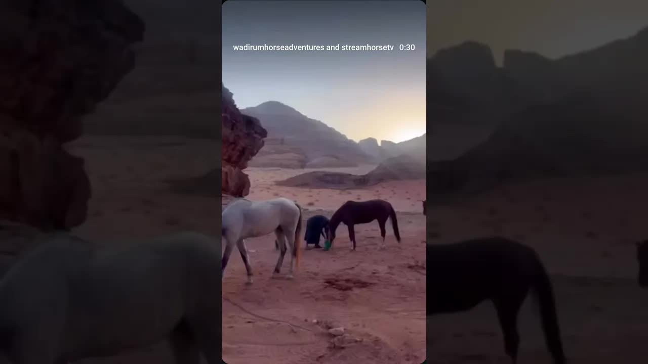 Life on the trail is simple: the horses shine, and we try to keep up.