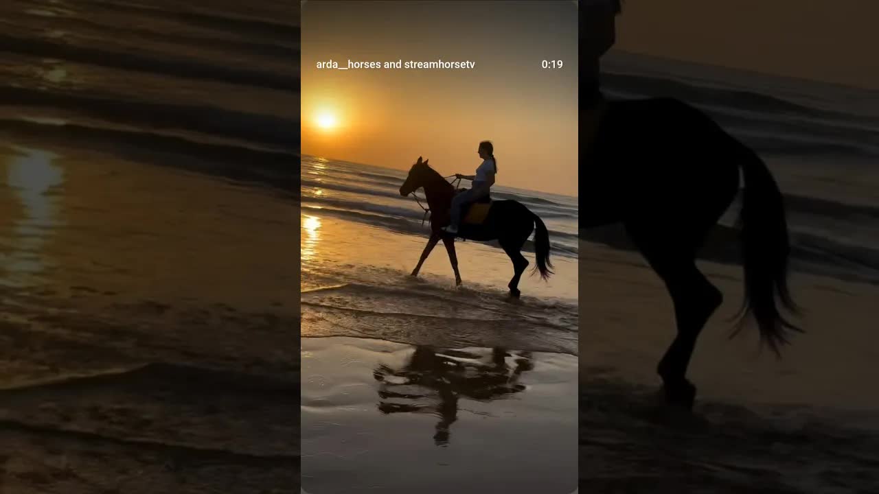 Freedom ride for peace ☮️🕊️🙏