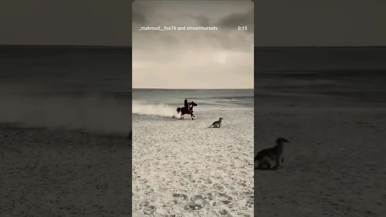 Horses are not just about running… Horses are a spirit; when you fly, you feel free.” 🐴