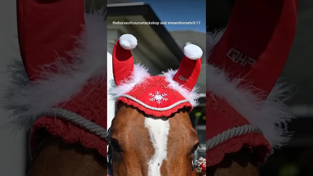 Santa Ear Bonnets? Of course 🎅🐴😂