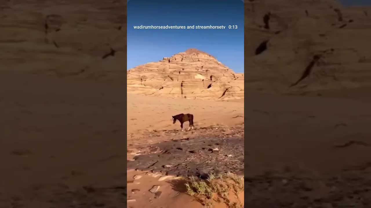 33 seconds of pure Wadi Rum trail joy, featuring views, good food, relaxed canters & sunsets