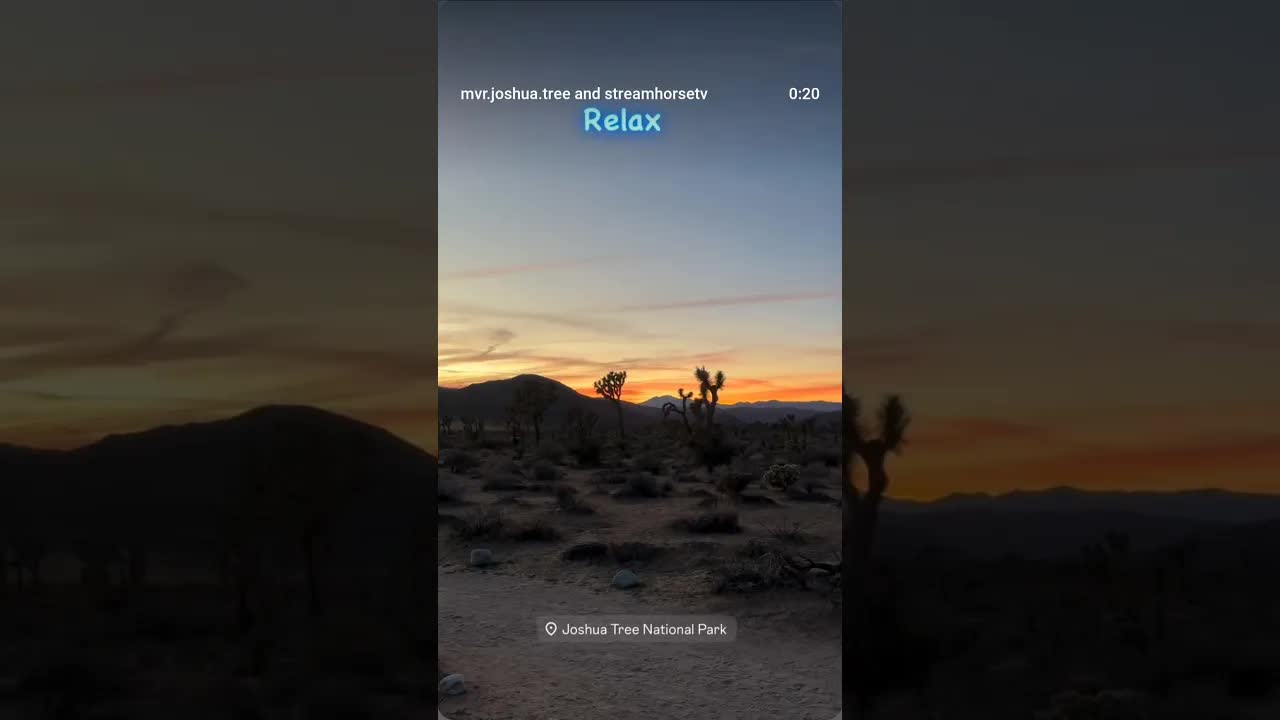 🐴🏜️ Relax, Connect, Appreciate, & Explore 🏜️🐴 Enjoy Exploring Joshua Tree National Park Horseback!