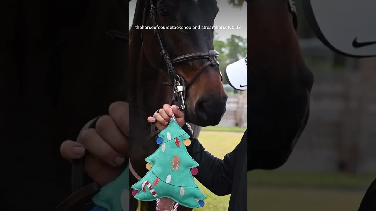 Christmas horse toys? Of course 🎄🎅🐎🎄👀