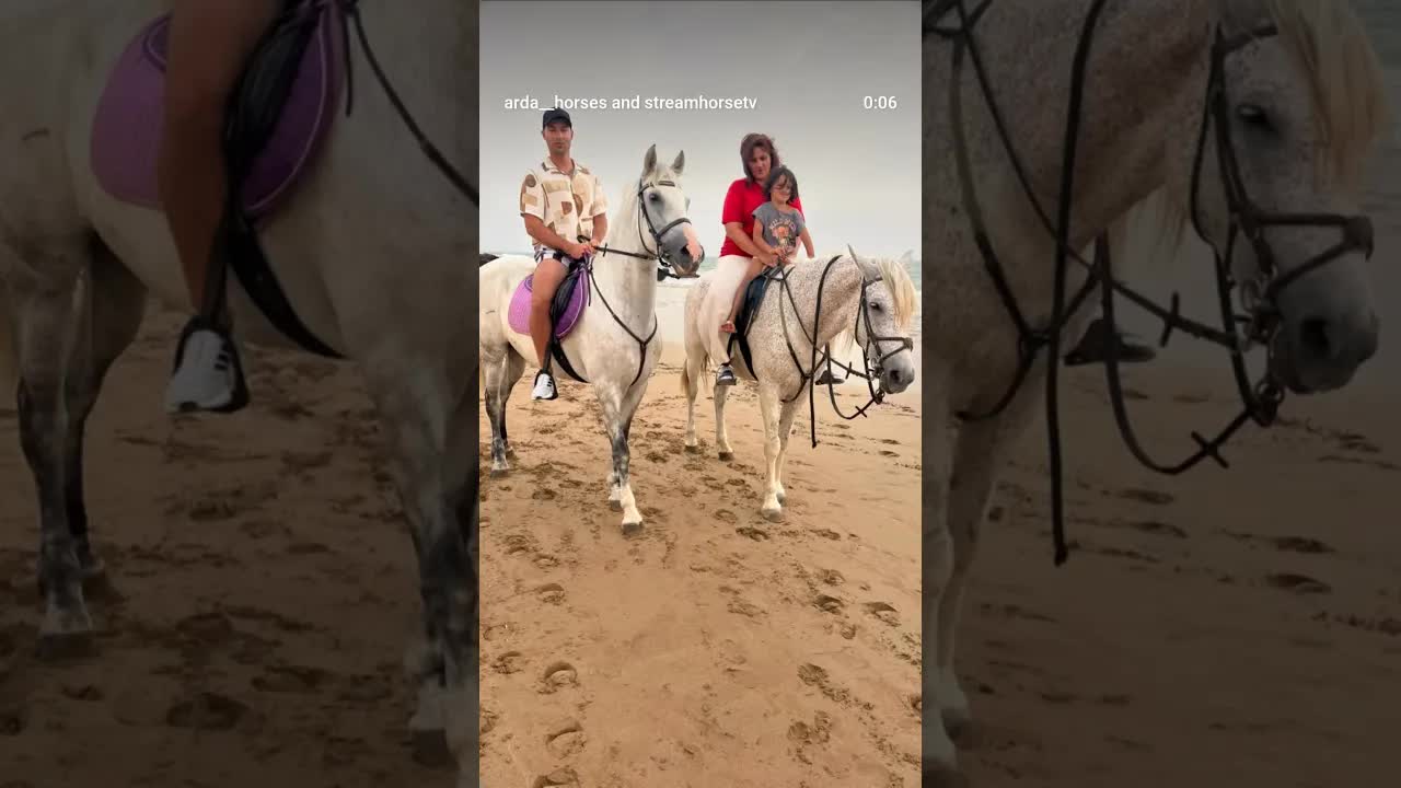 Pro horse Agadir 🫶🙏