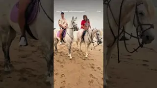Pro horse Agadir 🫶🙏
