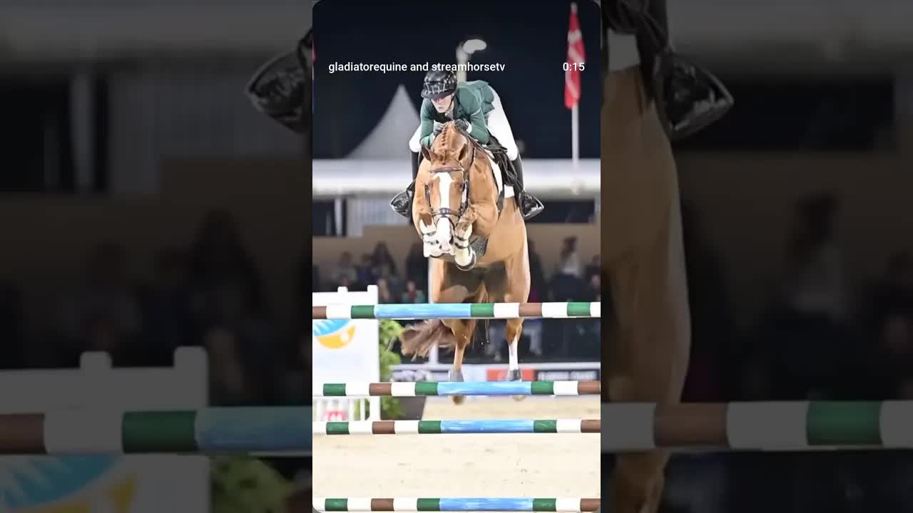 Don’t let your horse’s fate be determined by injury or chronic issues!