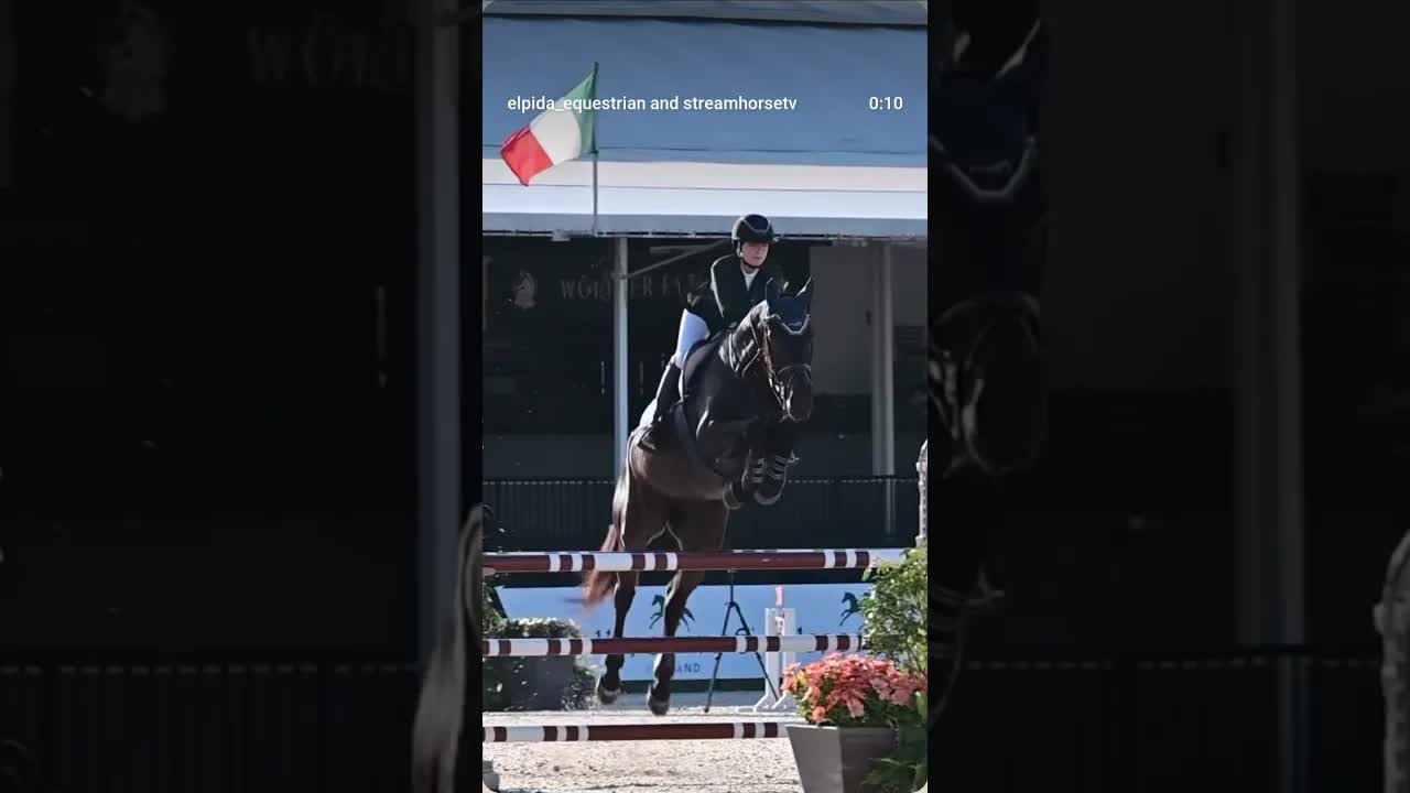 Back in the show ring this weekend for the ESP Holiday Circuit to close out 2025! 😃🎄🐎🎁🎅🎊