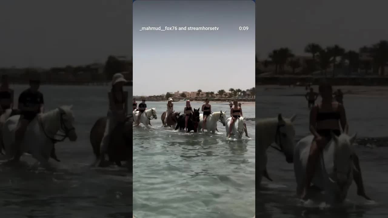 Horseback riding on Hurghada's beach is a moment of freedom amidst the Azure Sea 🌊🐴🥰