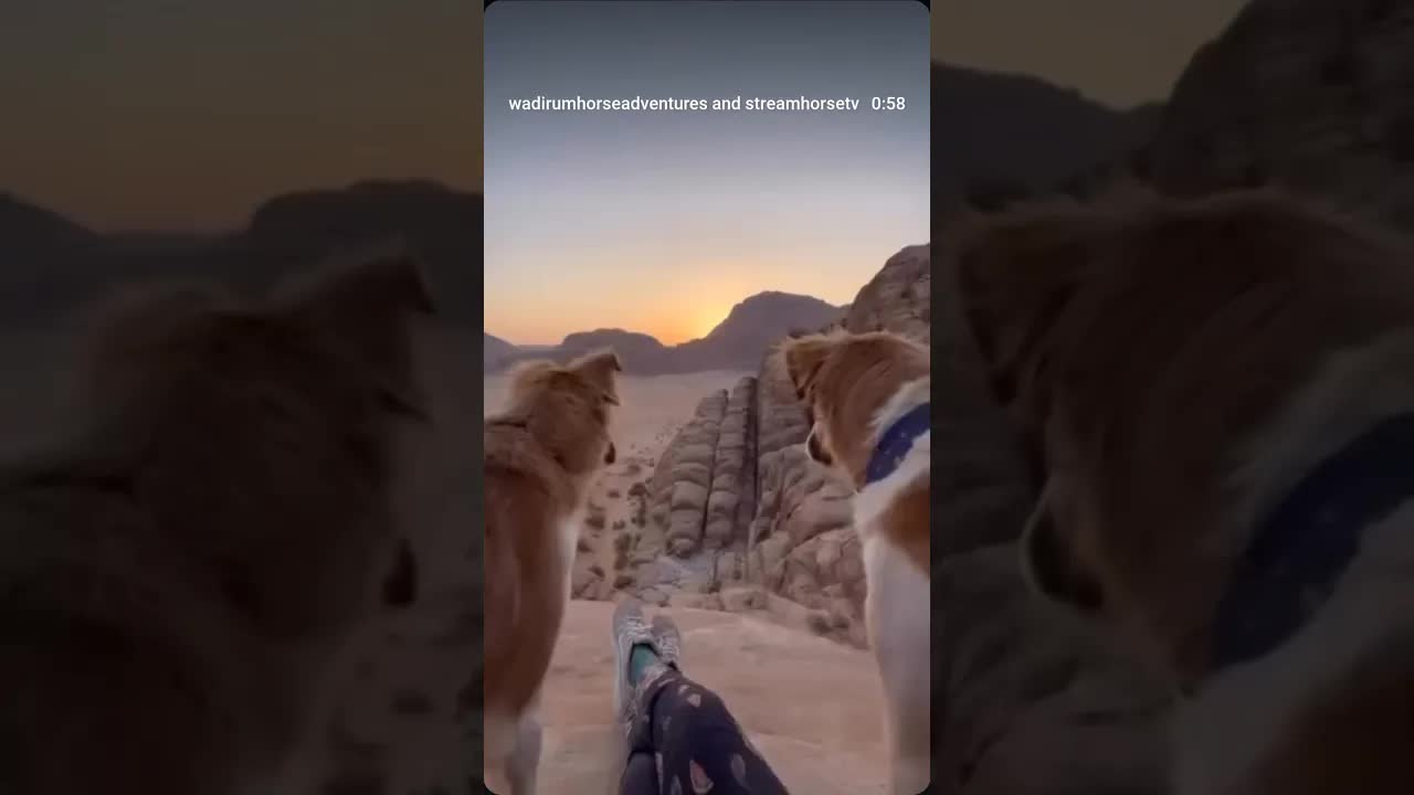 This is why we ride. Our horses make it possible. ✨🐎