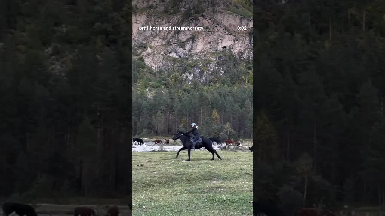 Now I would like to go to the mountains on a horse 🐴🥹❤️