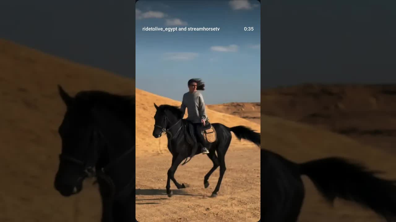 Riding through the Tunis desert 🌵 Every horse is unique, and this young black beauty was a pleasure