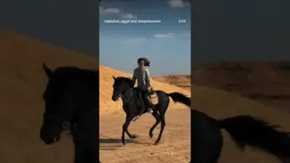 Riding through the Tunis desert 🌵 Every horse is unique, and this young black beauty was a pleasure