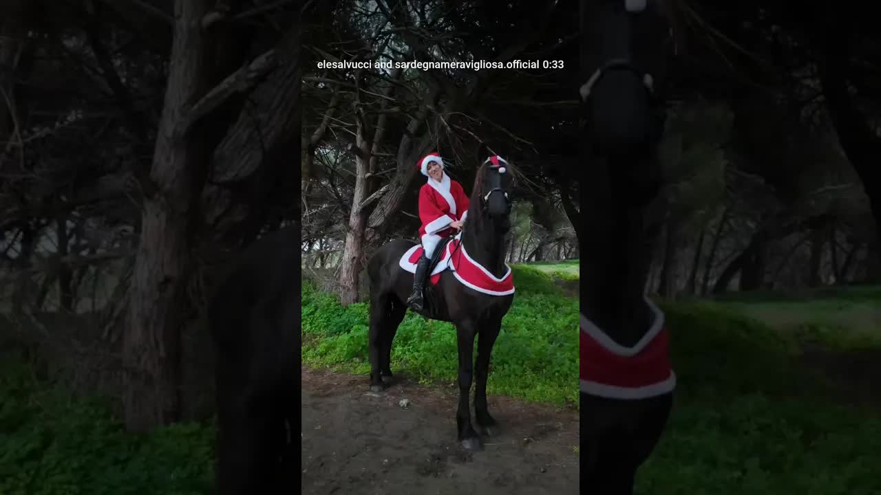 In questo periodo dell’anno si parla di regali, luci e magia. 🎄🐎