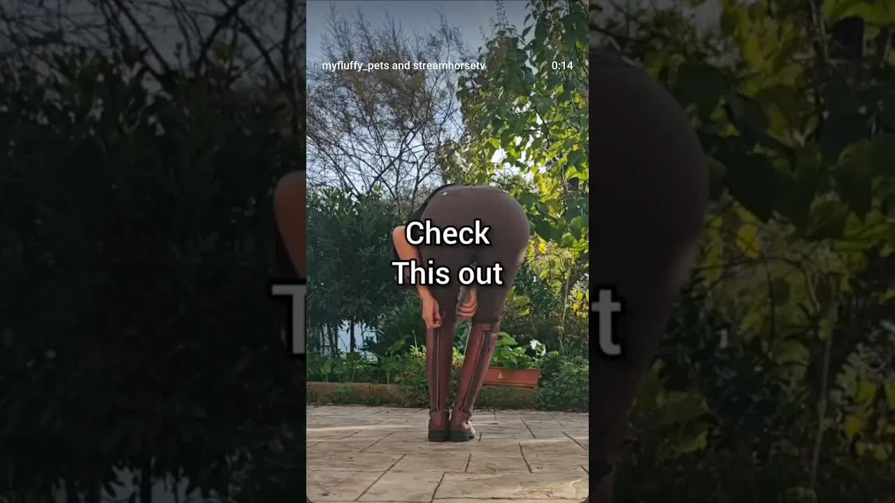 ✨ Ciao amici ✨ Volevo condividere con voi la mia scoperta recente: il sito Amiko & Friends