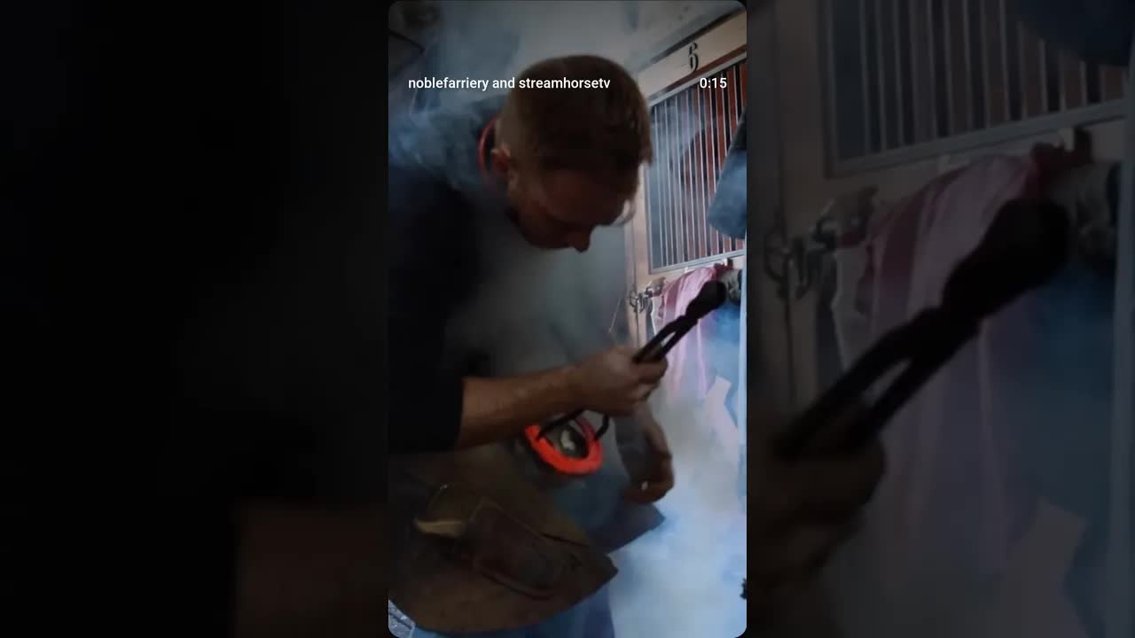 Getting up close and personal with some shots from a day in the life with Dr. Brandon King DVM.