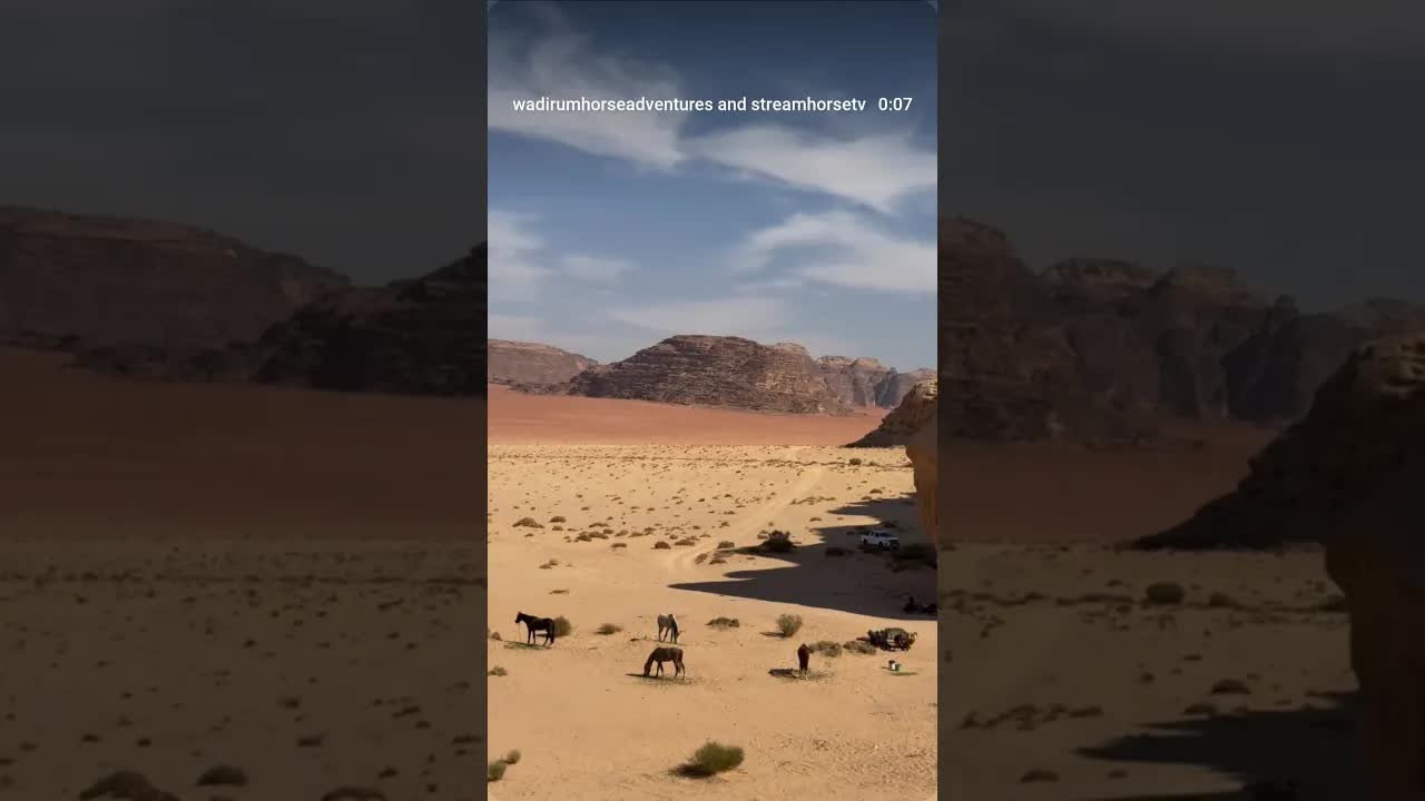 Lunch stop between the red and white desert.