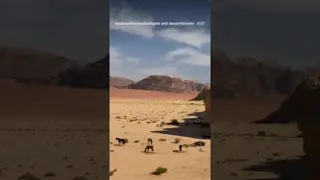 Lunch stop between the red and white desert.