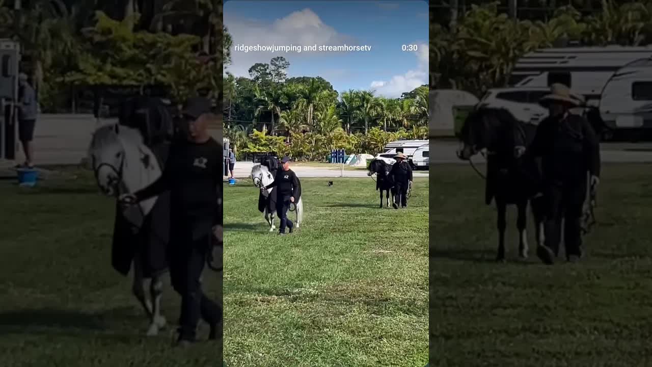 Huge thank you to everyone who joined us for our last event of the year! 🐎🎄🔝