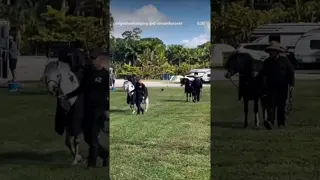 Huge thank you to everyone who joined us for our last event of the year! 🐎🎄🔝