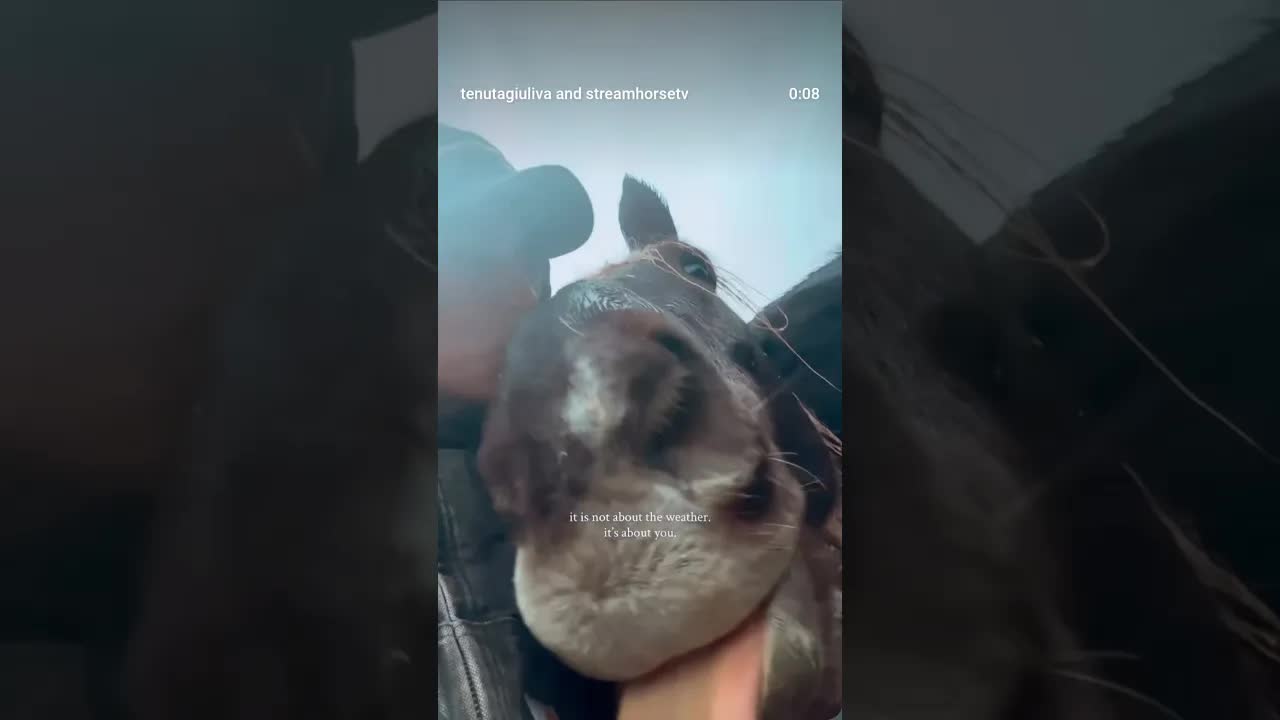 it is not about the weather. it's about you.