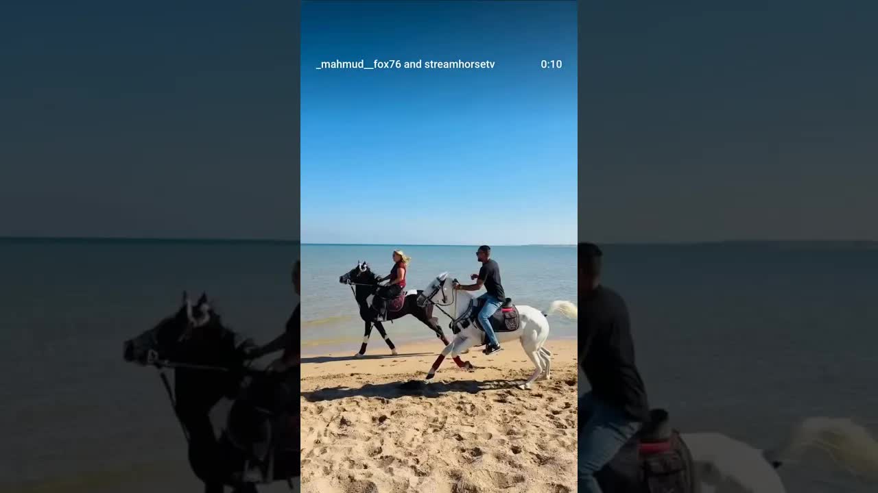 A shared Christmas ride along the beach 🤍🐎