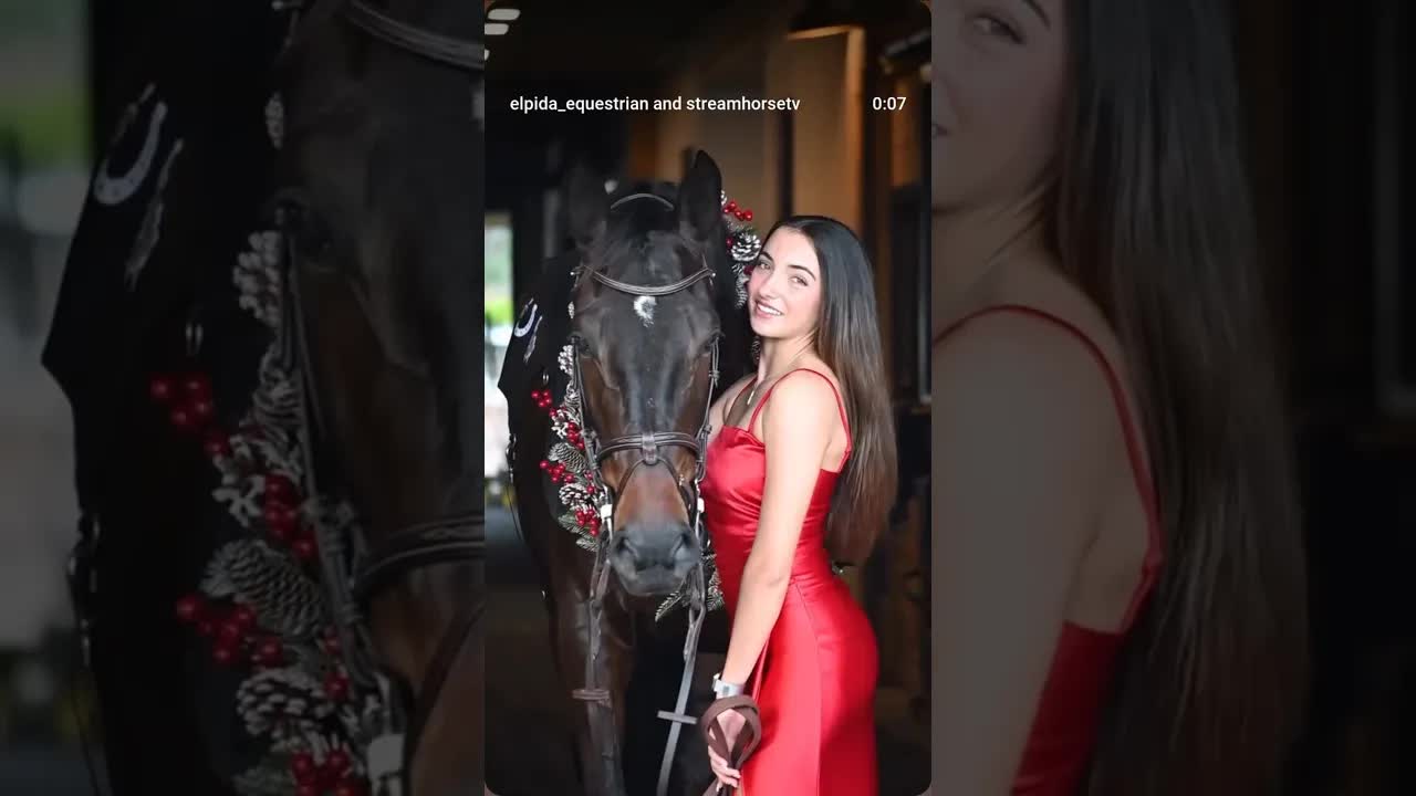 Merry Christmas & Happy Holidays from our friends & family to yours! ❤️🎄🐎❤️💙