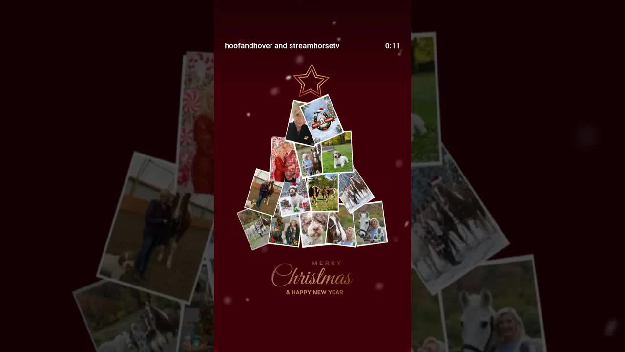 Wishing everyone a joyous holiday season, from our family to yours 🎄✨