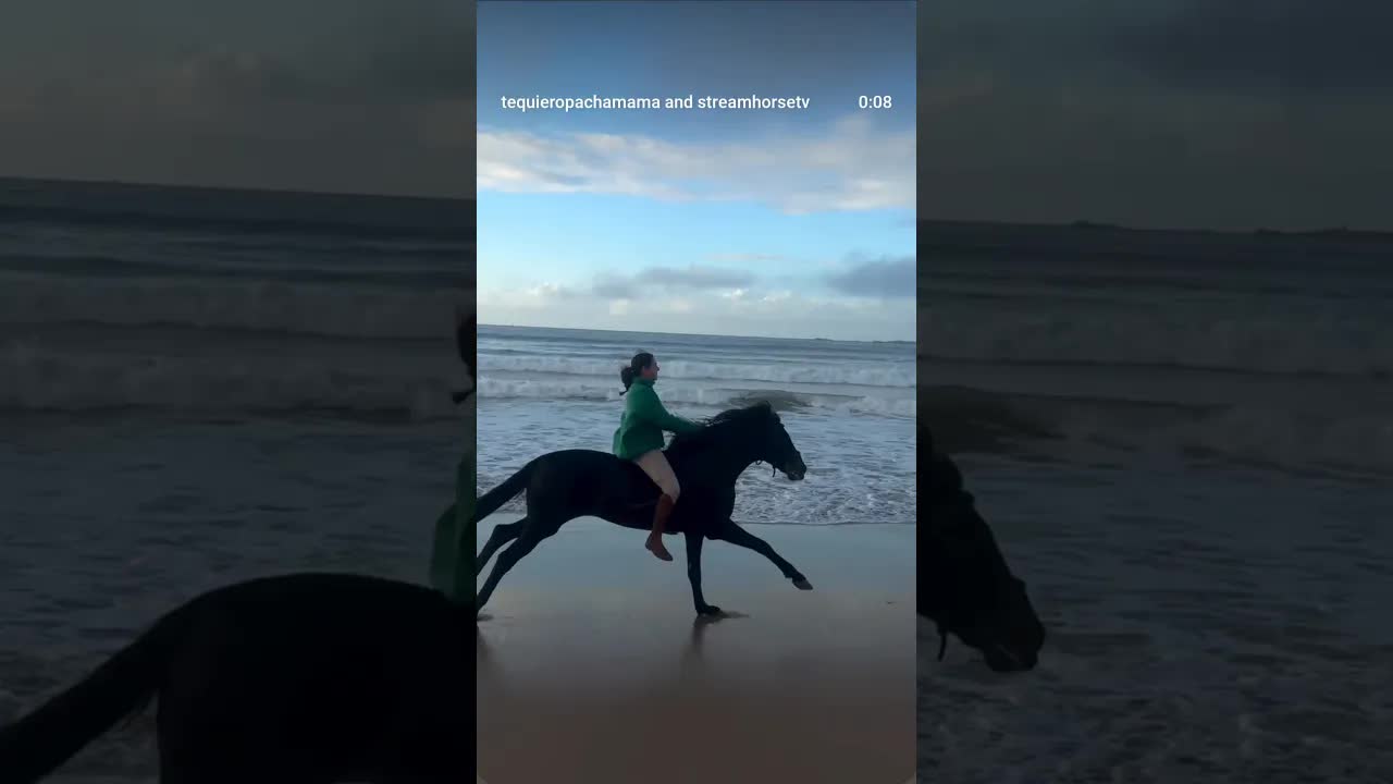 Nothing more is needed, when there is respect, listening, and hearts beat to the same rhythm ♥️