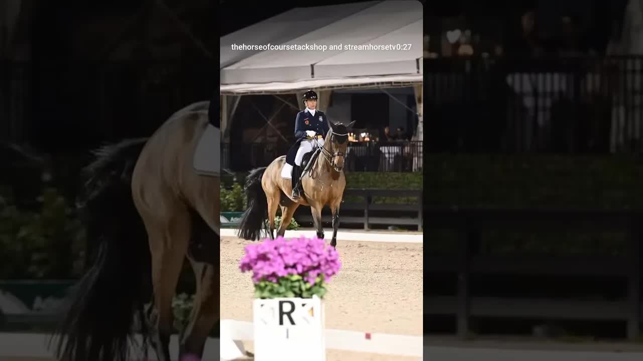 Who’s ready for Friday Night Lights Freestyles?! 🤩🐎✨🪩