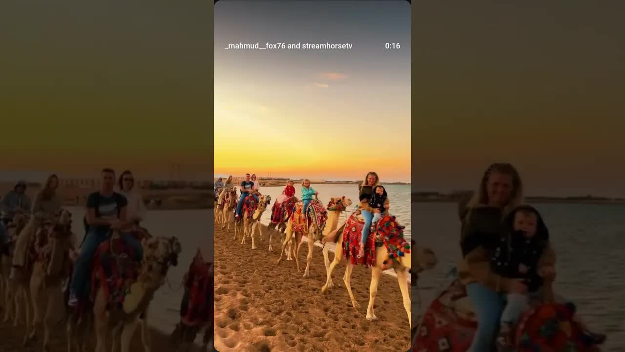 Camel riding on the beach of Hurghada 🐪🌊 A truly special experience with the beauty of the Red Sea