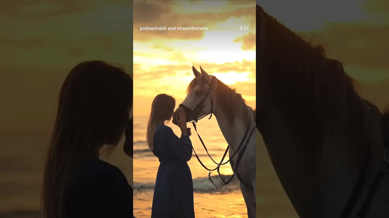 Strength doesn’t always look loud. Sometimes it moves gently. 🐎