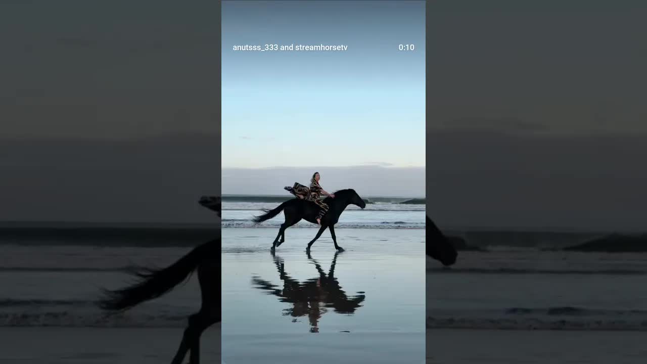 when dreams became reality 🐎 i think i trust this stallion more than i trust myself 😁