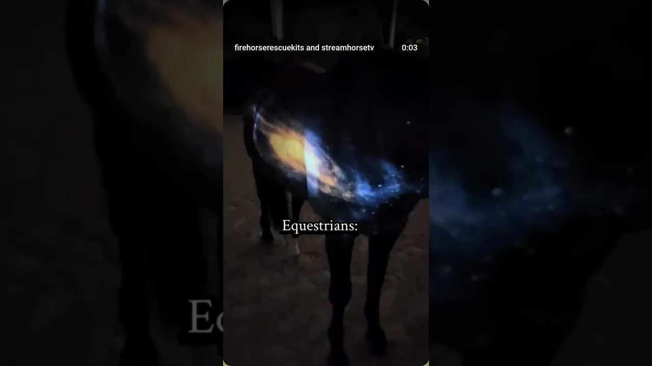 They’re our universe 🌌🔥🐎🛡️