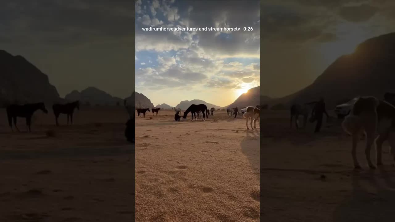 5 days until the New Year. As the sun sets over the desert, we pause & are grateful.