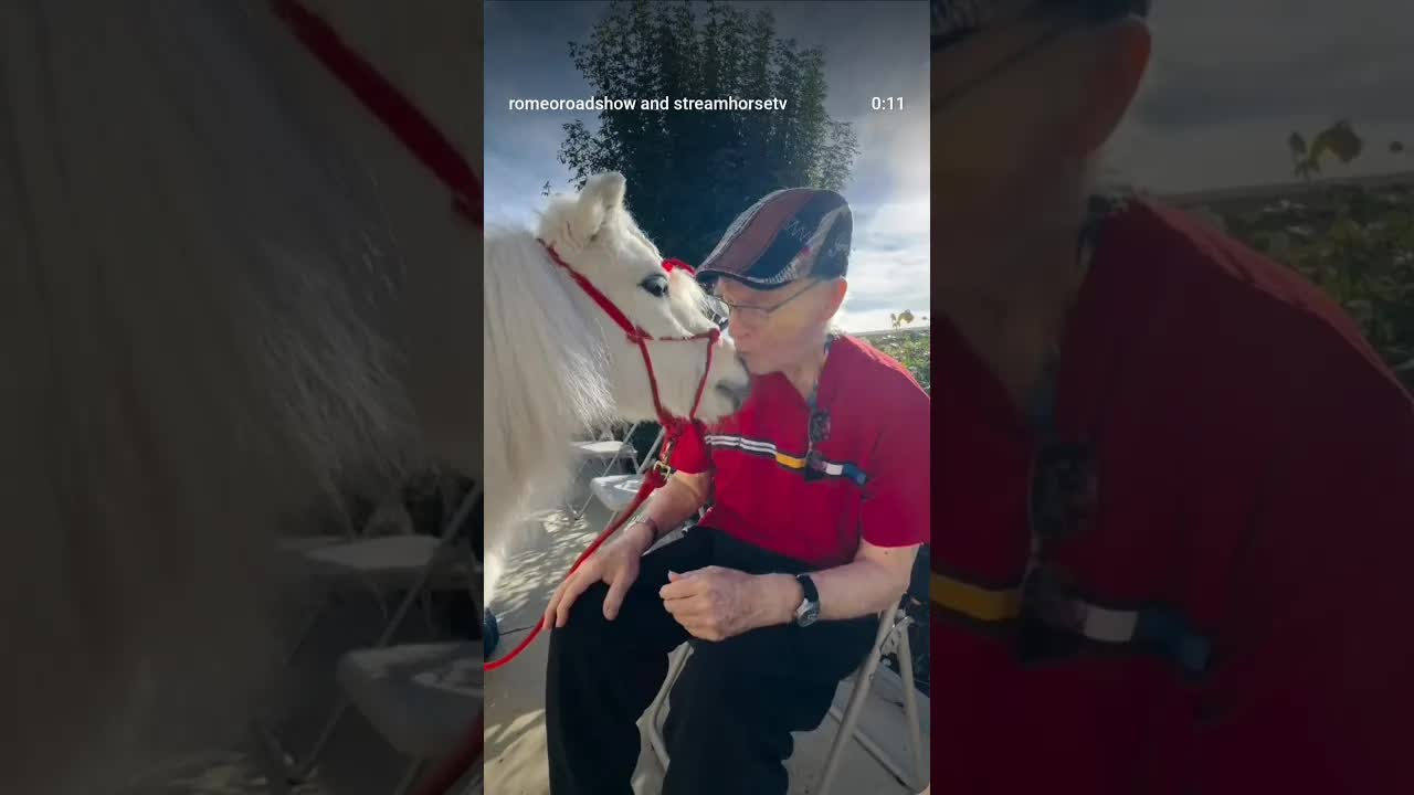 Had a Great time at Cal Vet Ventura visiting with our new friends‼️❌⭕️❌🦄💕