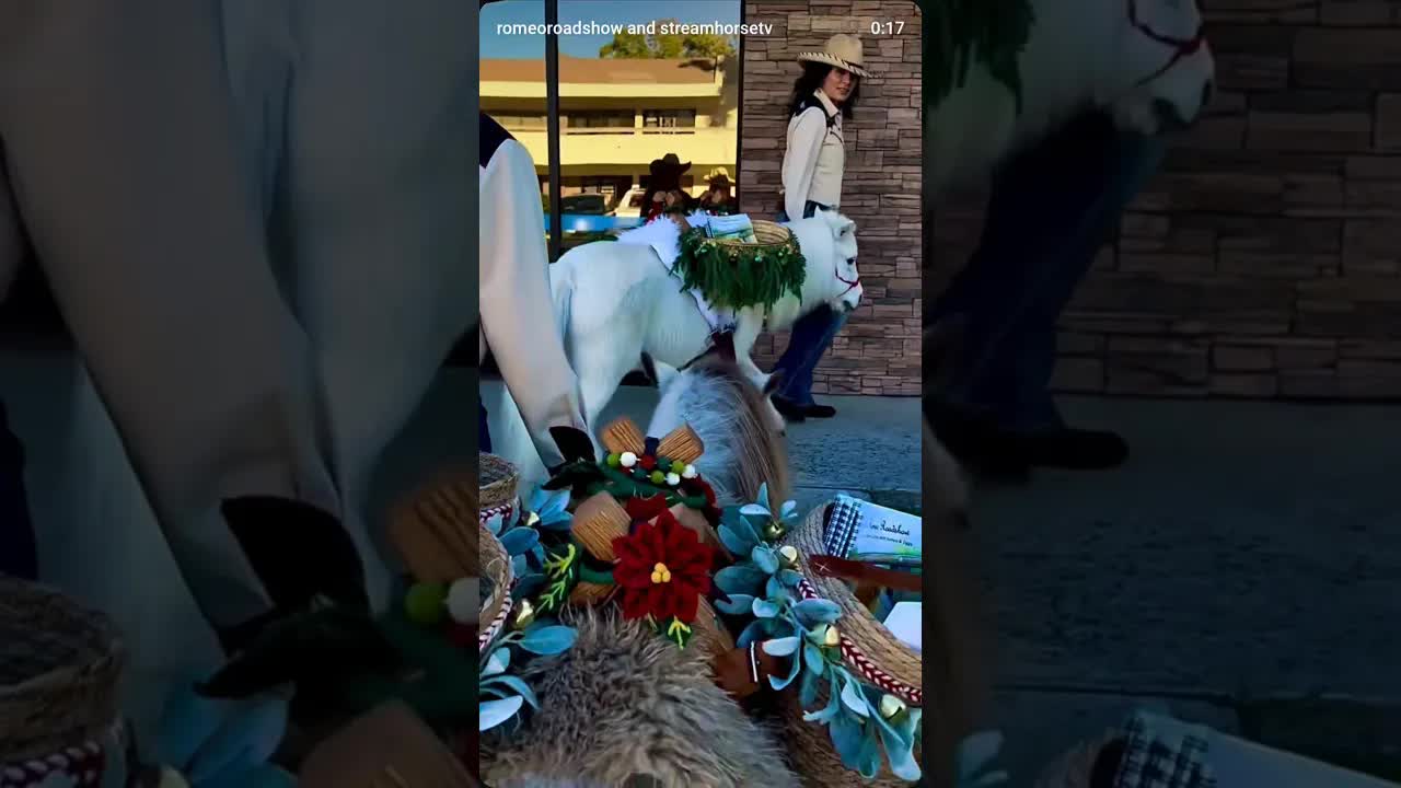 Romeo Roadshow had a wonderful holiday - bringing gifts to all their friends ❤️🦄🎄